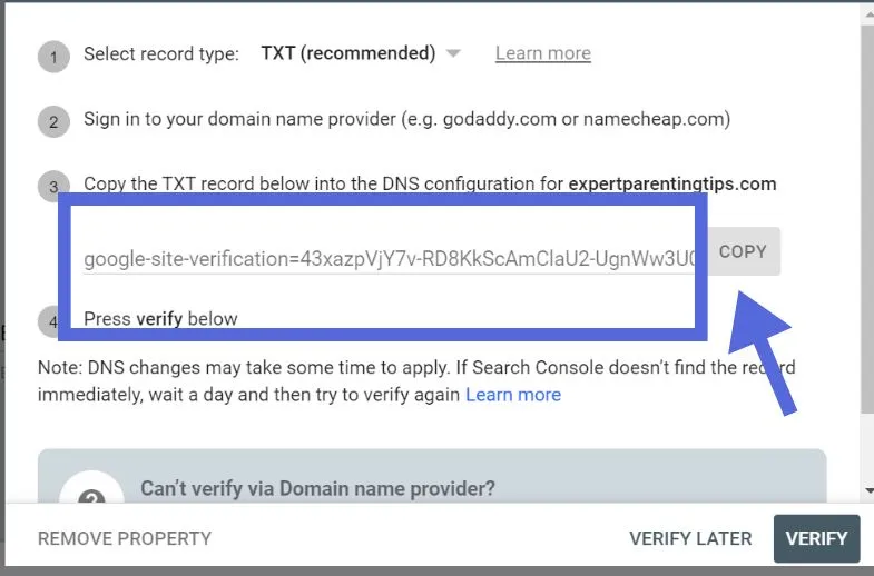 Any DNS provider