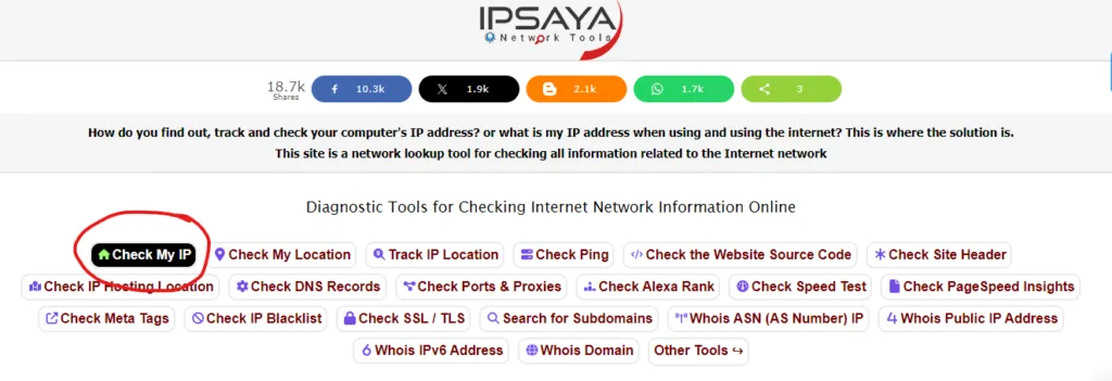 Check My IP" button