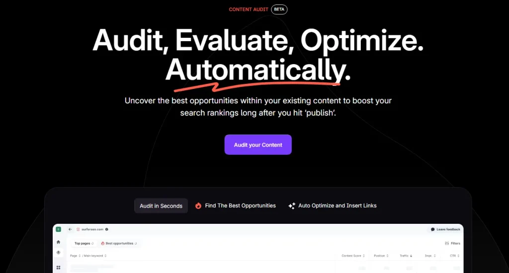 Content Audit