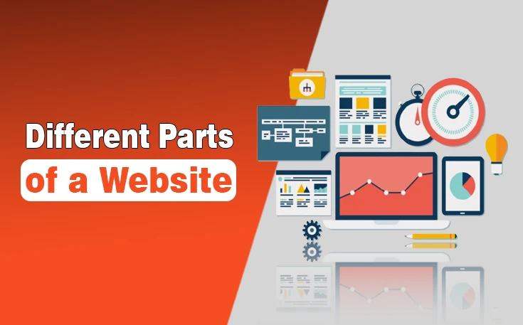 Different Parts of a Website