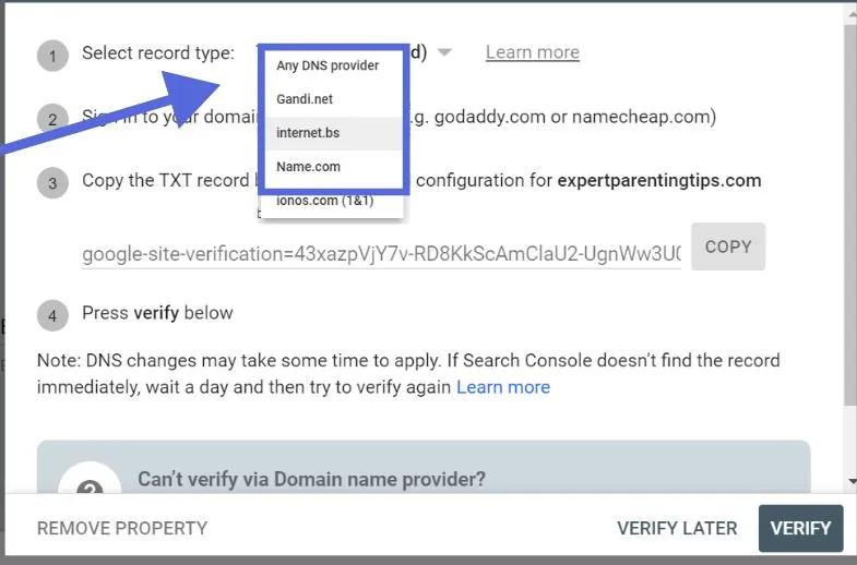 Domain Name System
