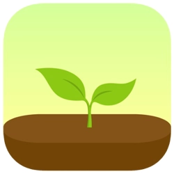 Forest - Stay Focused, Grow Trees