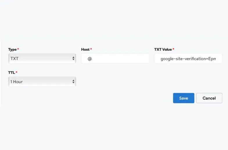 paste the TXT record from Google