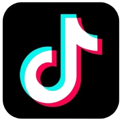 TikTok Logo 