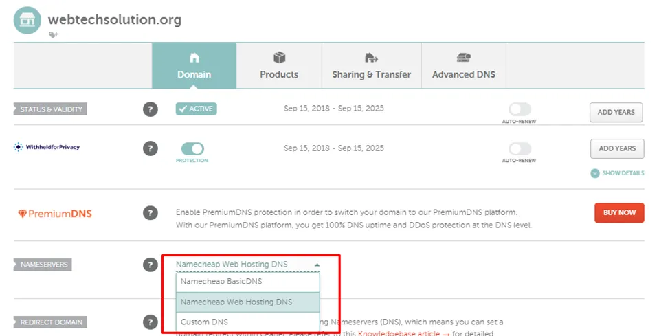 Three options of DNS