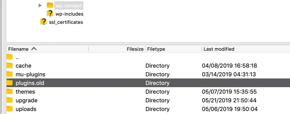 wp-content” directory