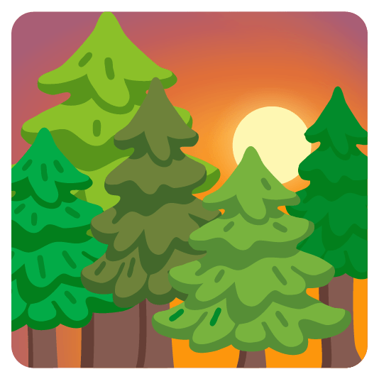 city sunrise evergreen tree