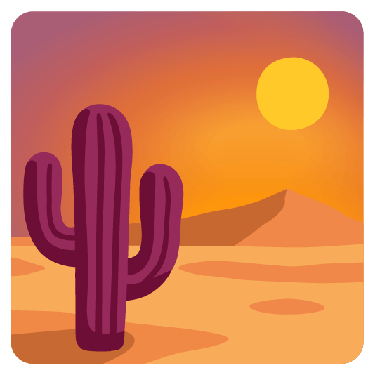city sunrise cactus
