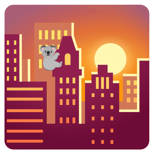 city sunrise koala