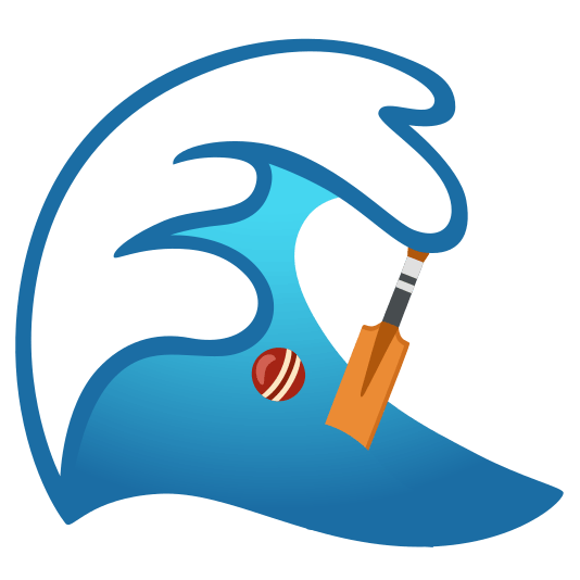 ocean cricket bat and ball