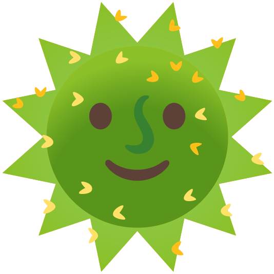 sun with face cactus