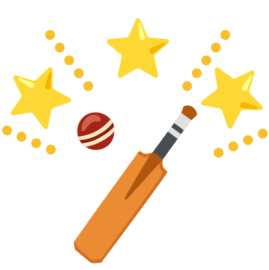 star2 cricket bat and ball