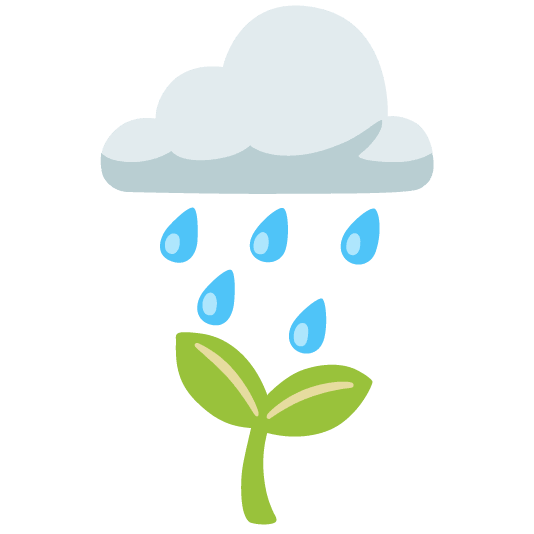rain cloud seedling