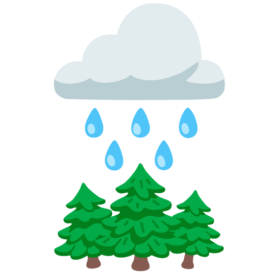 rain cloud evergreen tree