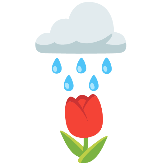 rain cloud tulip