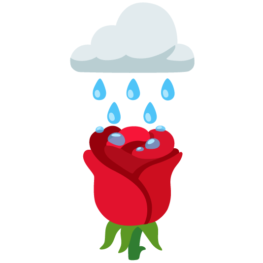 rain cloud rose