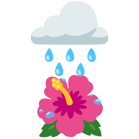 rain cloud hibiscus