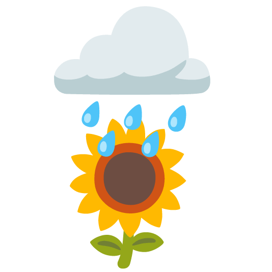 rain cloud sunflower