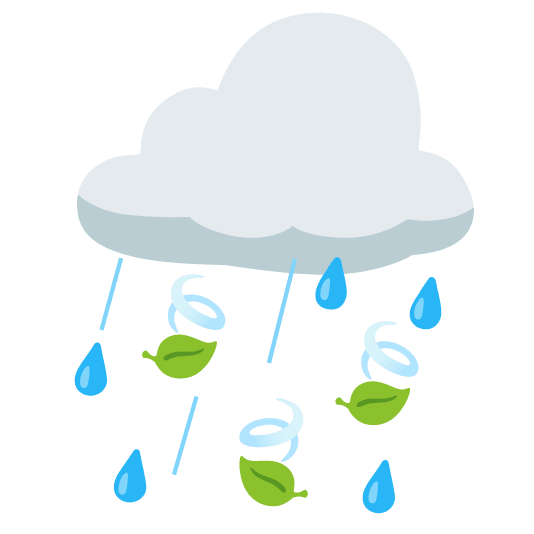 rain cloud leaves