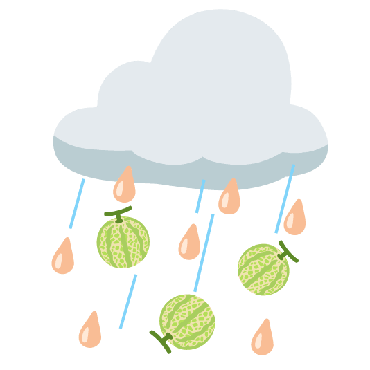 rain cloud melon