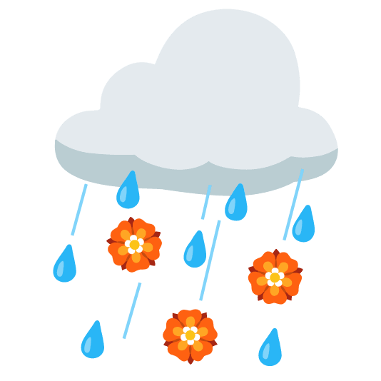 rain cloud rosette