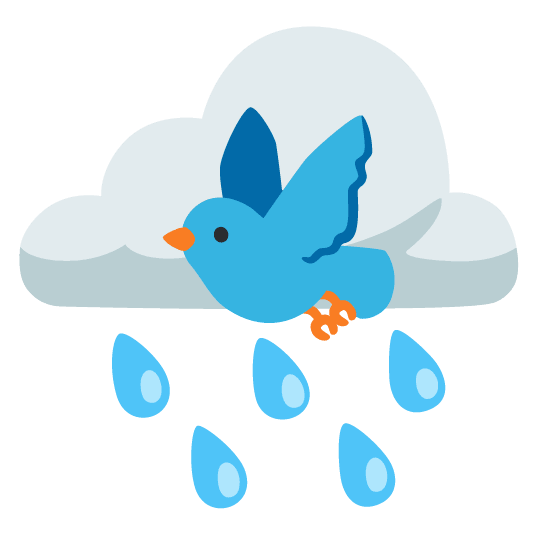 rain cloud bird