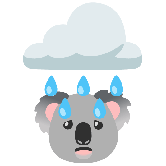 rain cloud koala