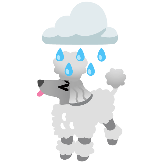 rain cloud poodle