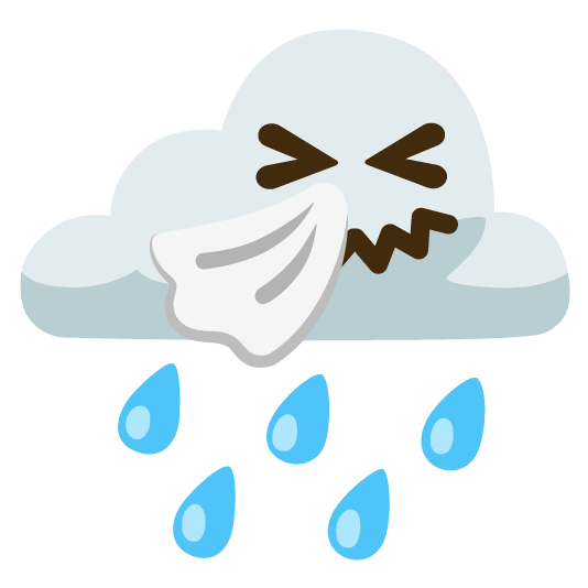 rain cloud sneezing face