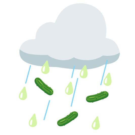 rain cloud cucumber