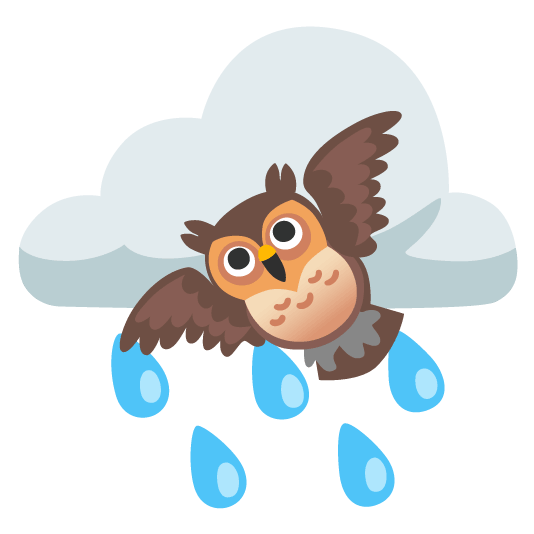 rain cloud owl
