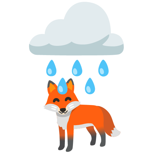 rain cloud fox face