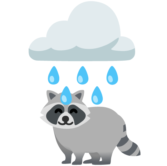 rain cloud raccoon