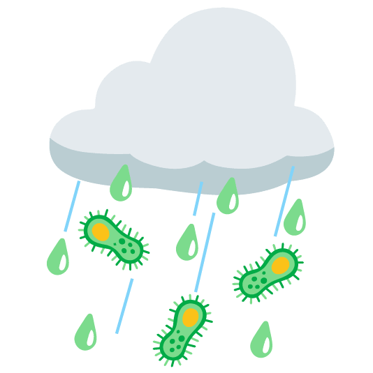 rain cloud microbe