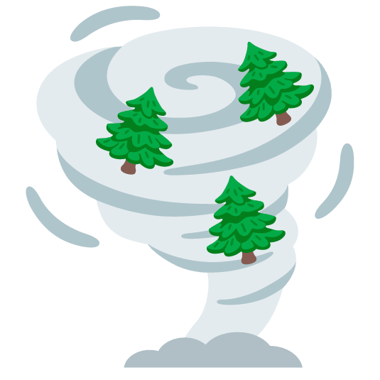 tornado evergreen tree