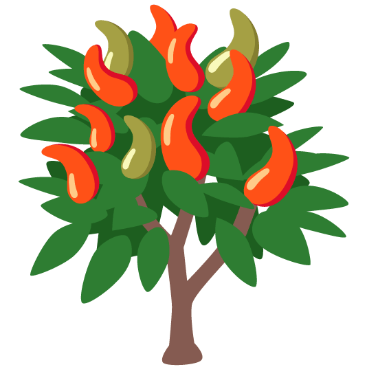 evergreen tree hot pepper