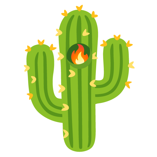 cactus fire