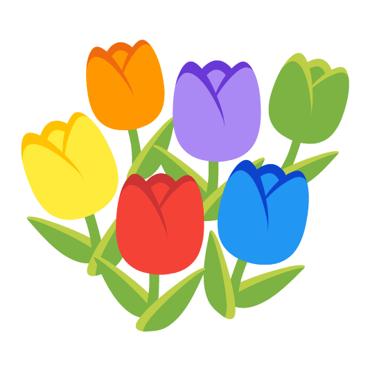 tulip rainbow