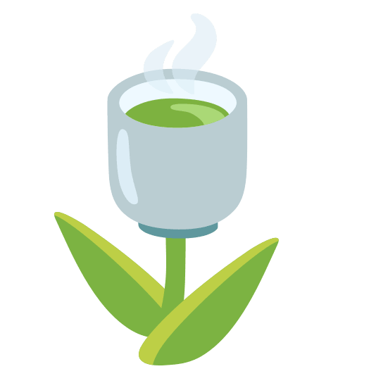 tulip tea