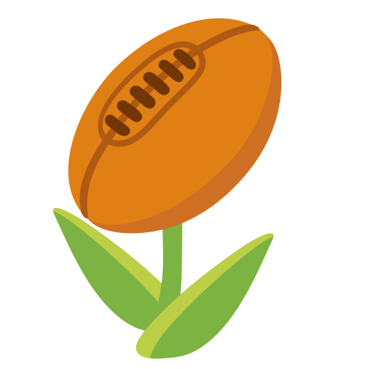 tulip rugby football