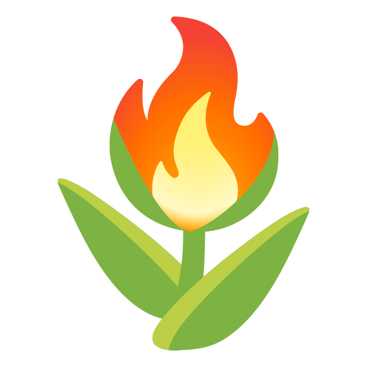 tulip fire