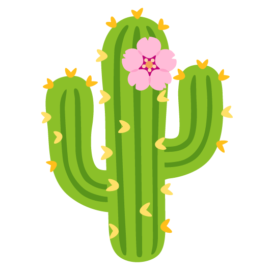 cherry blossom cactus