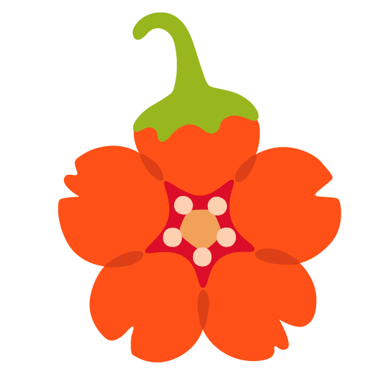 cherry blossom hot pepper