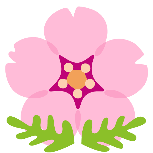 cherry blossom cherry blossom