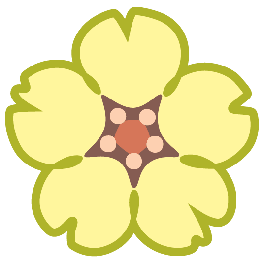 cherry blossom avocado