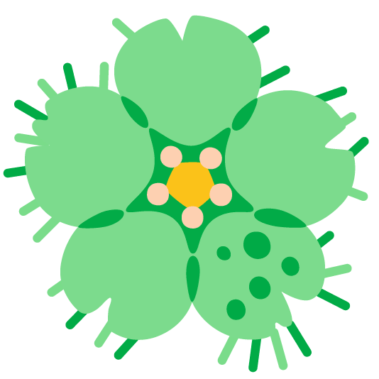 cherry blossom microbe