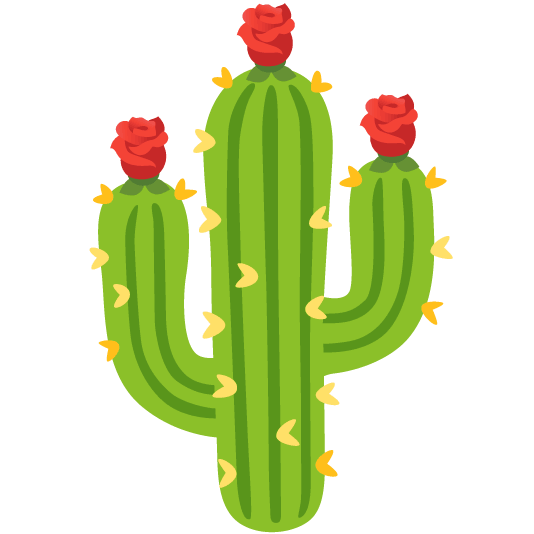 rose cactus