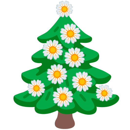 blossom evergreen tree