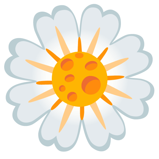 blossom cheese wedge