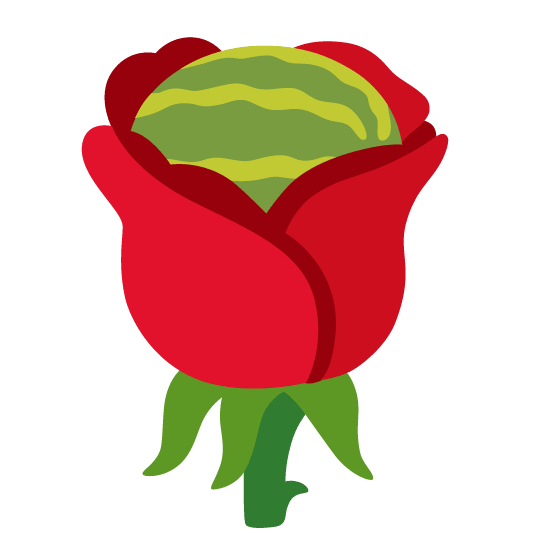 watermelon rose